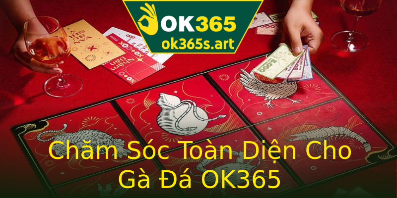 Chăm Sóc Toàn Diện Cho Gà Đá OK365 Chăm Sóc Toàn Diện Cho Gà Đá OK365