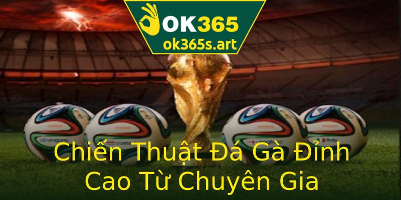 Chiến Thuật Đá Gà Đỉnh Cao Từ Chuyên Gia Chiến Thuật Đá Gà Đỉnh Cao Từ Chuyên Gia