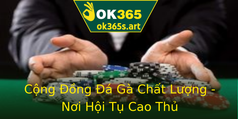 Cộng Đồng Đá Gà Chất Lượng - Nơi Hội Tụ Cao Thủ Cộng Đồng Đá Gà Chất Lượng - Nơi Hội Tụ Cao Thủ