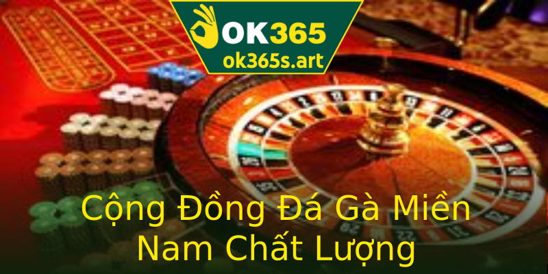 Cộng Đồng Đá Gà Miền Nam Chất Lượng Cộng Đồng Đá Gà Miền Nam Chất Lượng