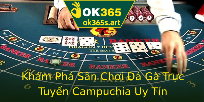 Khám Phá Sân Chơi Đá Gà Trực Tuyến Campuchia Uy Tín Khám Phá Sân Chơi Đá Gà Trực Tuyến Campuchia Uy Tín