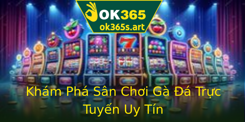 Khám Phá Sân Chơi Gà Đá Trực Tuyến Uy Tín Khám Phá Sân Chơi Gà Đá Trực Tuyến Uy Tín