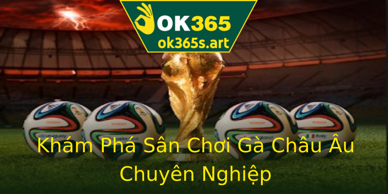 Khám Phá Sân Chơi Gà Châu Âu Chuyên Nghiệp Khám Phá Sân Chơi Gà Châu Âu Chuyên Nghiệp