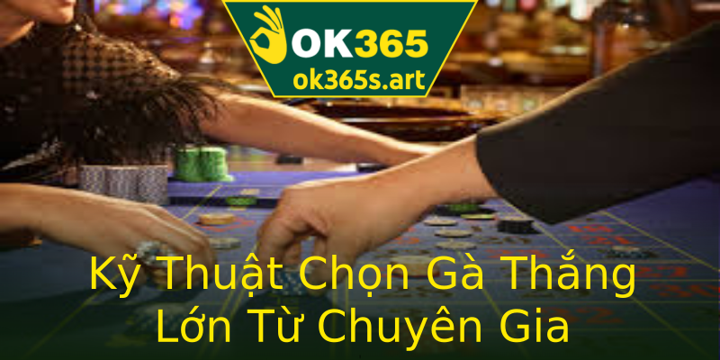 Kỹ Thuật Chọn Gà Thắng Lớn Từ Chuyên Gia Kỹ Thuật Chọn Gà Thắng Lớn Từ Chuyên Gia
