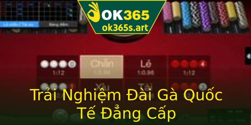 Trải Nghiệm Đài Gà Quốc Tế Đẳng Cấp Trải Nghiệm Đài Gà Quốc Tế Đẳng Cấp