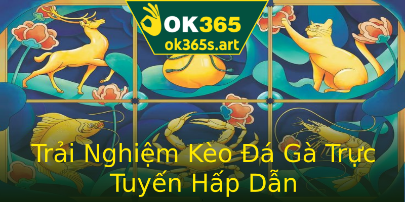 Trải Nghiệm Kèo Đá Gà Trực Tuyến Hấp Dẫn Trải Nghiệm Kèo Đá Gà Trực Tuyến Hấp Dẫn