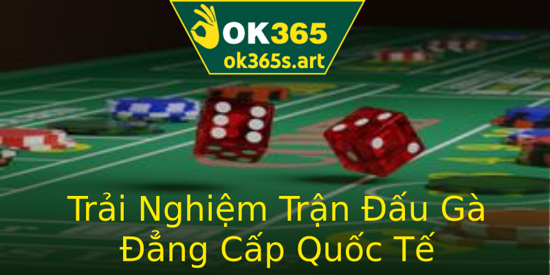 Trải Nghiệm Trận Đấu Gà Đẳng Cấp Quốc Tế Trải Nghiệm Trận Đấu Gà Đẳng Cấp Quốc Tế