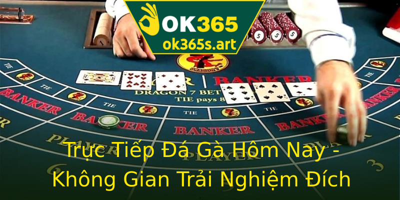 Trực Tiếp Đá Gà Hôm Nay - Không Gian Trải Nghiệm Đích Thực Trực Tiếp Đá Gà Hôm Nay - Không Gian Trải Nghiệm Đích Thực